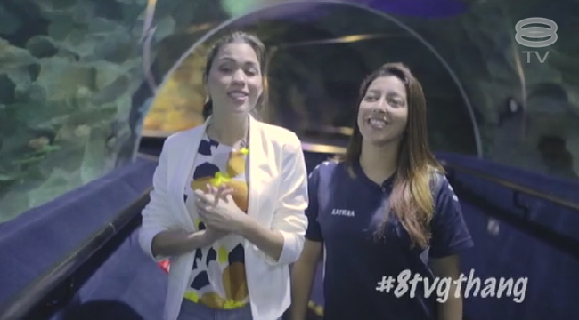 8TV-gthang